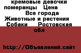 кремовые девочки померанцы › Цена ­ 30 000 - Все города Животные и растения » Собаки   . Ростовская обл.